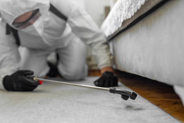 Professional Wasp Control technician working in Hot Springs Village, AR