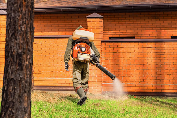 Trusted Mosquito Control service in Hot Springs Village, AR - Nex Pest Control